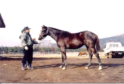 �ູƯ�� ����