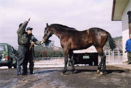 ŷ���� ����