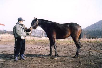 �Ӹ���Ÿ�� ����