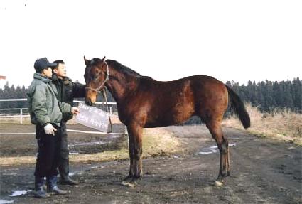 õ�� ����