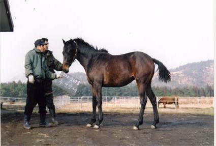 ��μ� ����