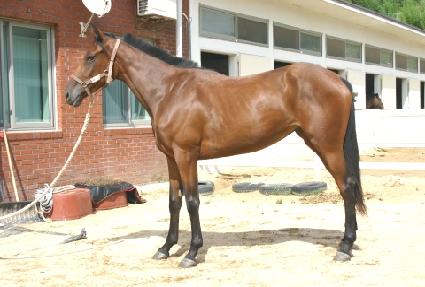 �������� ����