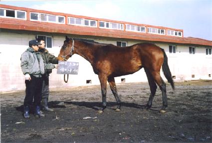 ������ ����