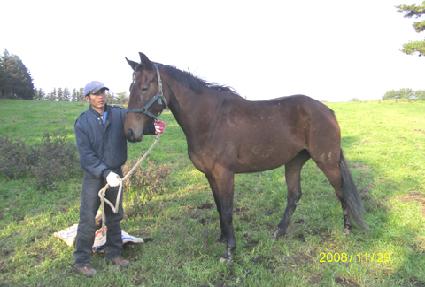 ��ȭ�� ����