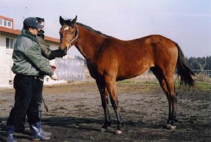 ũ���� ����