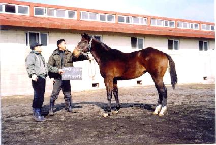 ���߹� ����