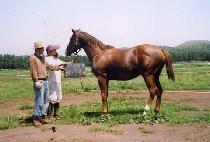 ü�̼� (CHASER) ����