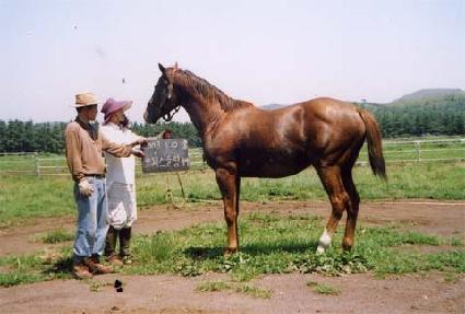 ü�̼� ����