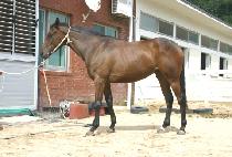 ������ (NAMPODONG) ����