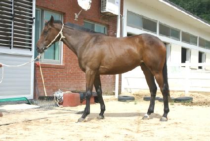 ������ ����