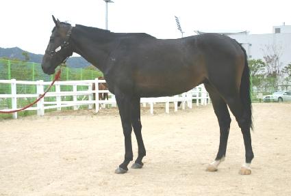 �����屺 ����