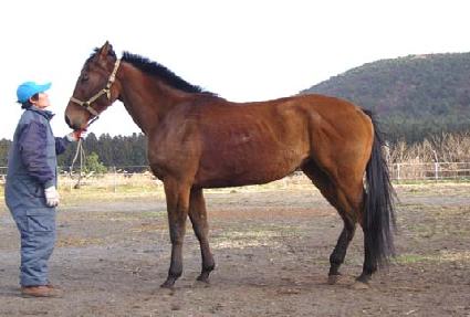 �ָ���� ����