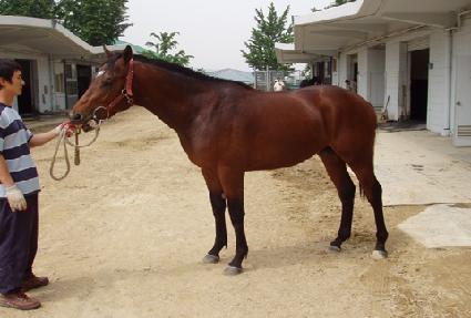 �����Ǳ� ����