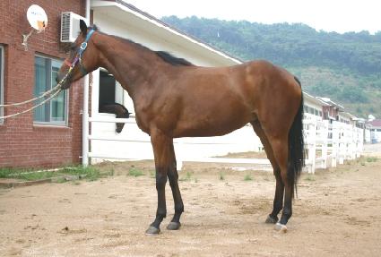 ĳġ�������� ����