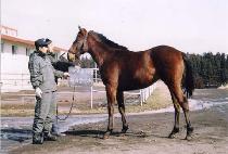 ǻó��ġ (FUTURE TOUTCH) ����