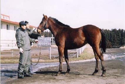 ǻó��ġ ����