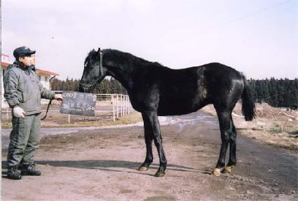 �ν�Ʈ���� ����