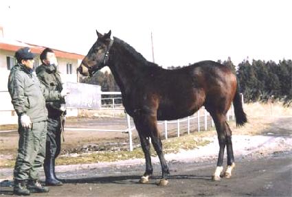 �̽��ͽŵ�� ����