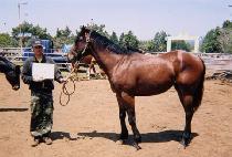 ������ (SAESEUNGJA) ����