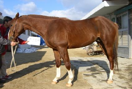 õ�⺸�� ����