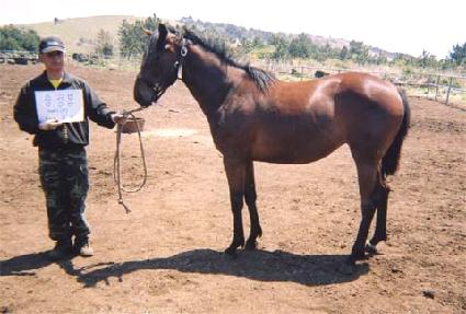 ����ž ����