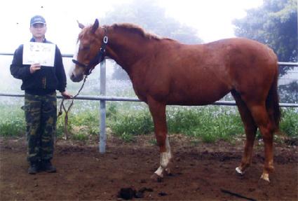 �պ��� ����