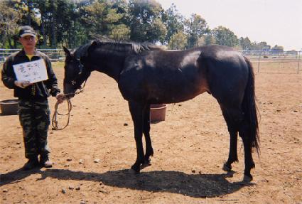 �ʿ���� ����