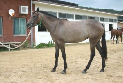 �������� ����