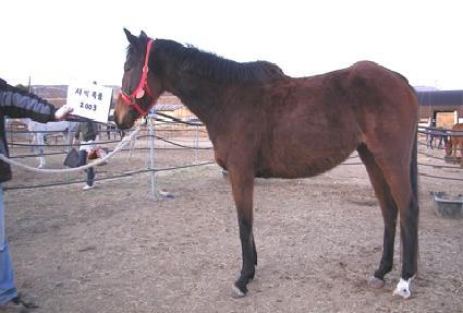 ������ǳ ����