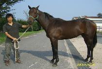 �������� (BALHAE JEWANG) ����