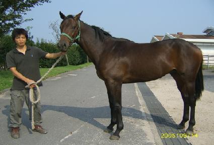 �������� ����