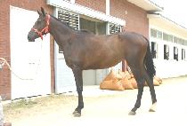 �������̺� (DEPRIVE) ����