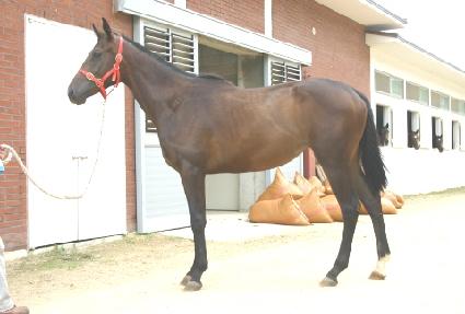 �������̺� ����