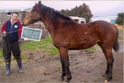 ����� ����