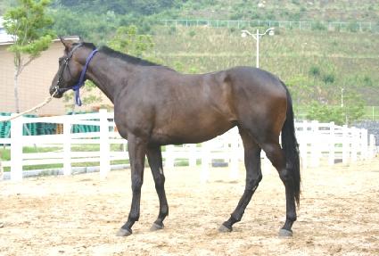 ����� ����