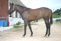 �뼺Ȳ (DAESEONGHWANG) ����