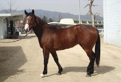 ������� ����