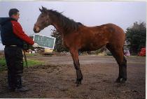 CHEONUI JEOLGYEONG picture