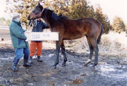 �Ǳ�õ�� ����