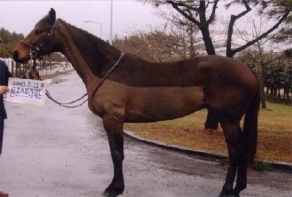 �Ŷ�� ����