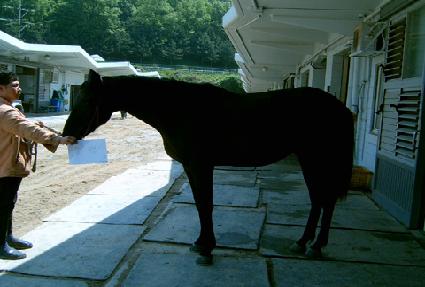 ���� ����