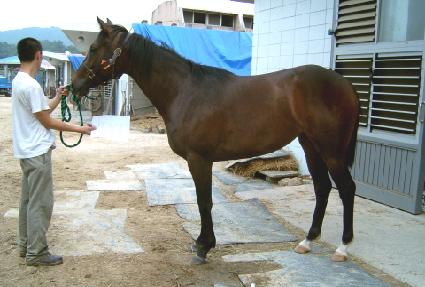 ���� ����