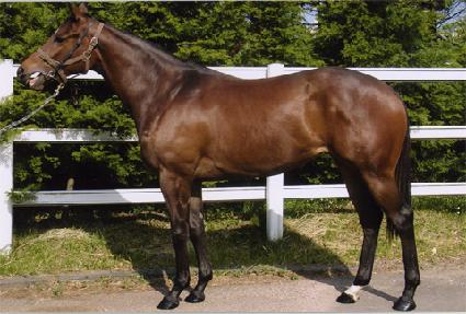 �������� ����