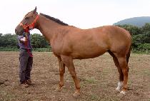 ����Ű�� (ESKINA) ����