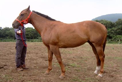 ����Ű�� ����