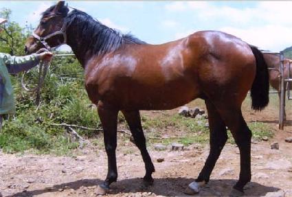 �̽�����õ ����