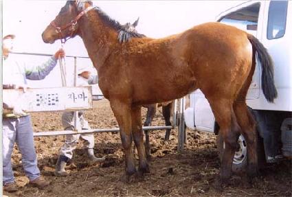 �꼺���� ����