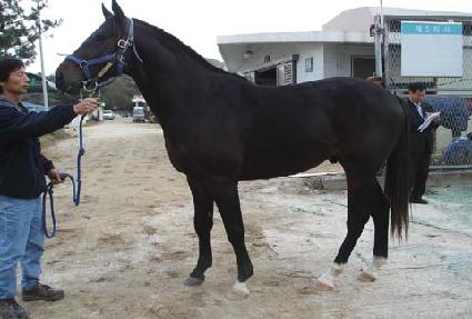 ���� ����