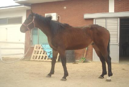 �����ǿ��� ����