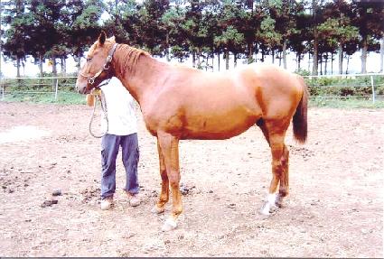 �����ϸ� ����